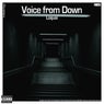 Voice from Down