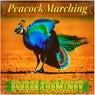 Peacock Marching