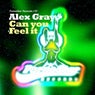 Alex Gray - Can You Feel It