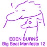 Big Beat Manifesto Vol. XII