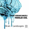 Brain Landscapes