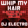 Whip My Hair (Electro Re-Mix Tribute To Willow)