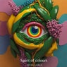 Spirit of Colours