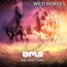 WILD HORSES (feat. Sean Toibin)