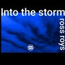 Into the Storm