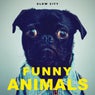 Funny Animals