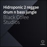 Hidroponic 2 Reggae Drum N Bass Jungle