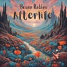 Afterlife