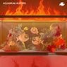 Aquarium Heaters