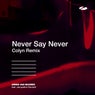 Never Say Never - Colyn Remix