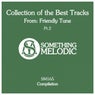 Collection of the Best Tracks From: Friendly Tune, Pt. 2