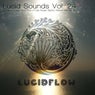 Lucid Sounds, Vol. 24 (A Fine and Deep Sonic Flow of Club House, Electro, Minimal and Techno)