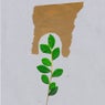 Kakuna