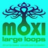 Vortex Loopy Loops Volume 13