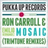 Mosaic (Trimtone Remixes)