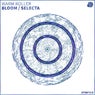 Bloom / Selecta