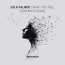 What You Feel