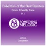 Collection of the Best Remixes From: Friendly Tune, Pt. 1