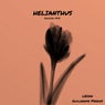 Helianthus
