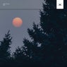 Under the Moon