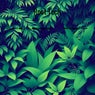 Root Tech