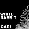 White Rabbit