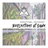 Reflections