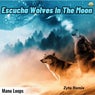 Escucha Wolves On The Moon