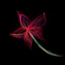 A Flowering Process