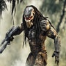 Predator