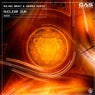Nuclear Sun