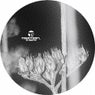 Gemini EP