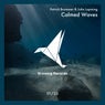 Calmed Waves