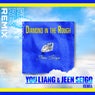Diamond In The Rough / You Liang & JEEN SEIGO Remix
