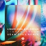 Liquid Dream (Sean Tyas Remix)