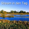 Stream in den Tag (44 Minimal Tech House Deep Tracks)