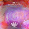 Binaural (Remixes)