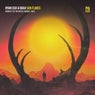 Sun Flares