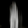 The Dark