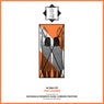 The Leader (incl. RaysMan, Federico Alesi Remix, Lorenzo Pestozzi Remix)