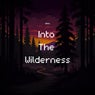 Into The Wilderness (Wild Arms Opening Theme Remix)