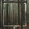 Homage To The Woodlands