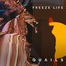 Freeze Life (Remixes)