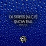 Snow Fall