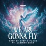 We are gonna fly (Extended Mix)