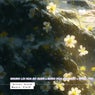 NHUNG LOI HUA BO QUEN x BONG HOA DEP NHAT x NANG THO (Instrumental)