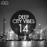 Deep City Vibes, Vol. 14