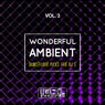 Wonderful Ambient, Vol. 3 (Dancefloor Picks For DJ's)