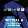 Synthesis / Road Kill