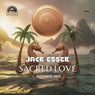 Sacred Love